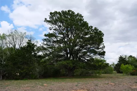 446 Herron Trl, Mcdade, TX 78650 photo 28