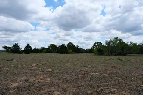 446 Herron Trl, Mcdade, TX 78650 photo 24