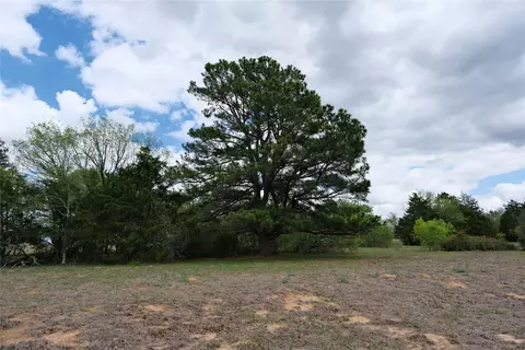 446 Herron Trl, Mcdade, TX 78650 photo 29