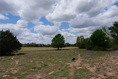 446 Herron Trl, Mcdade, TX 78650 photo 12