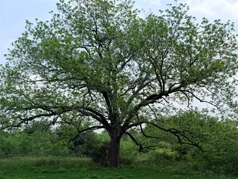 tbd Tracts - 4567 Fm 86 Hwy, Luling, TX 78648 photo 32