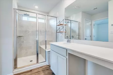 Bath - 233 Forest Moon Ln, Kyle, TX 78640 photo 1 of 3