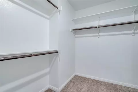 Other - 233 Forest Moon Ln, Kyle, TX 78640 photo 3 of 5