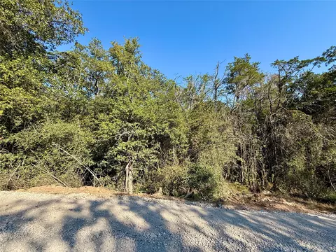 tbd Lot 1233 Hanauma Dr, Bastrop, TX 78602