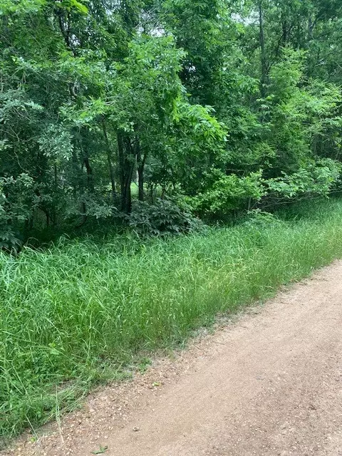 lot812 Kaukonahua Ln, Bastrop, TX 78602