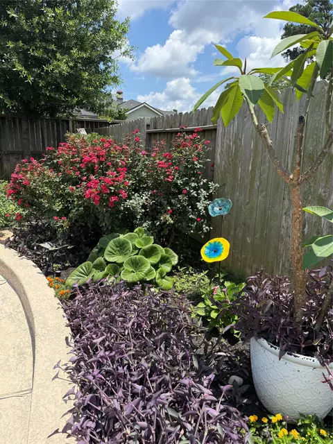 Other - 2336 Hagerman Rd, Conroe, TX 77384 photo 6 of 7