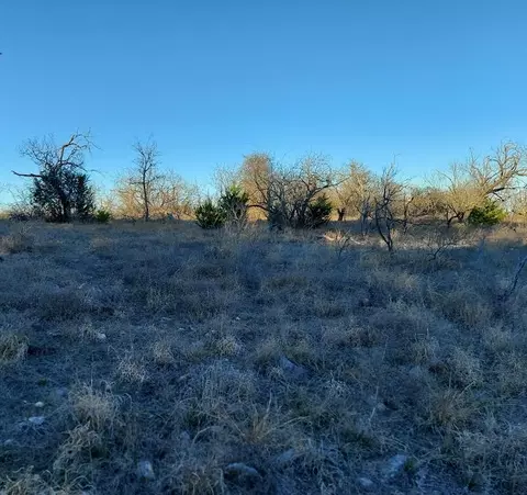tbd Lot Apt 33 Comanche Hills Dr, Comanche, TX 76442 photo 4