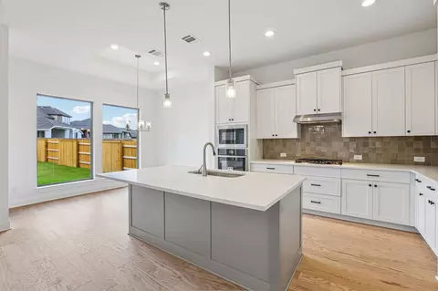 Kitchen - 253 Prickly Poppy Loop, Kyle, TX 78640 photo 3 of 3