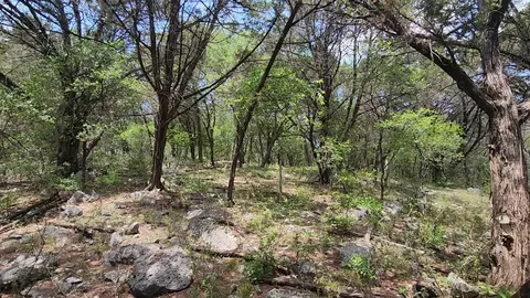 410 Owl Hollow Rd, San Marcos, TX 78666