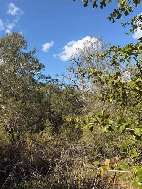 lot539 Palikea Cir, Bastrop, TX 78602