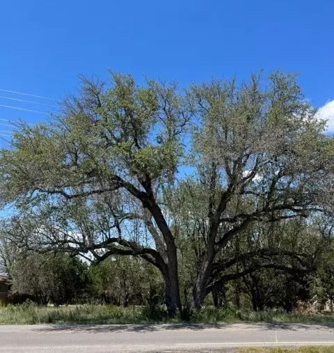 20703 High Dr, Lago Vista, TX 78645