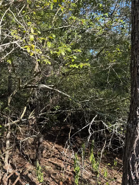 lot189 Kaelupulu Dr, Bastrop, TX 78602