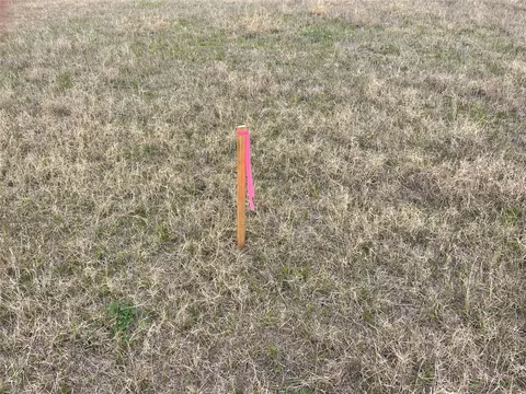 tbd Roemer Rd, Elgin, TX 78621 photo 10