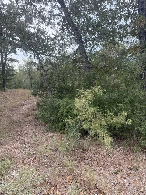 4 Lots Mokulua Mokuleia Cir, Bastrop, TX 78602 photo 2