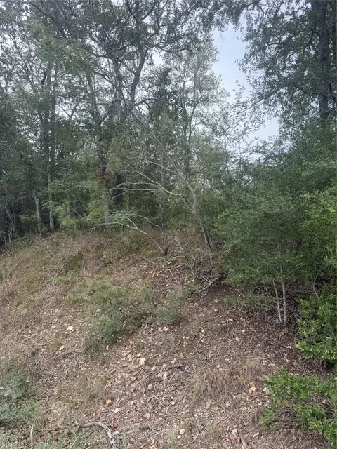 4 Lots Mokulua Mokuleia Cir, Bastrop, TX 78602 photo 8