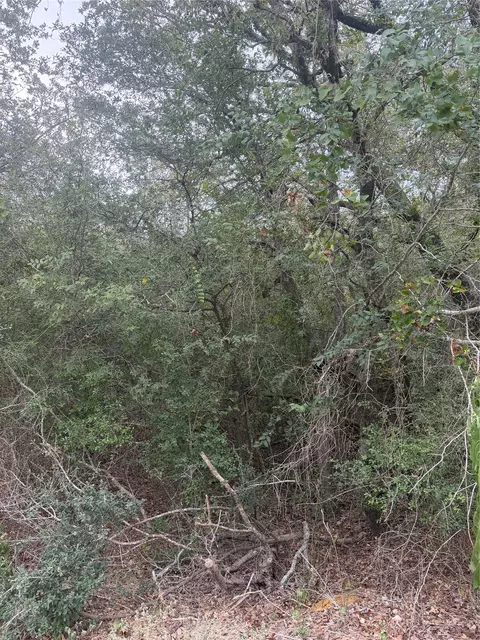 4 Lots Mokulua Mokuleia Cir, Bastrop, TX 78602 photo 10