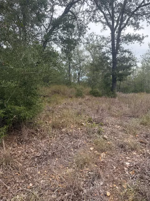 4 Lots Mokulua Mokuleia Cir, Bastrop, TX 78602 photo 7