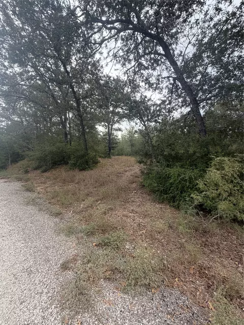 4 Lots Mokulua Mokuleia Cir, Bastrop, TX 78602 photo 4