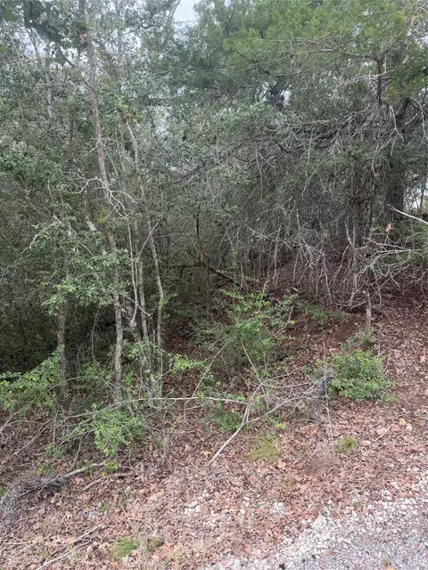 4 Lots Mokulua Mokuleia Cir, Bastrop, TX 78602 photo 9