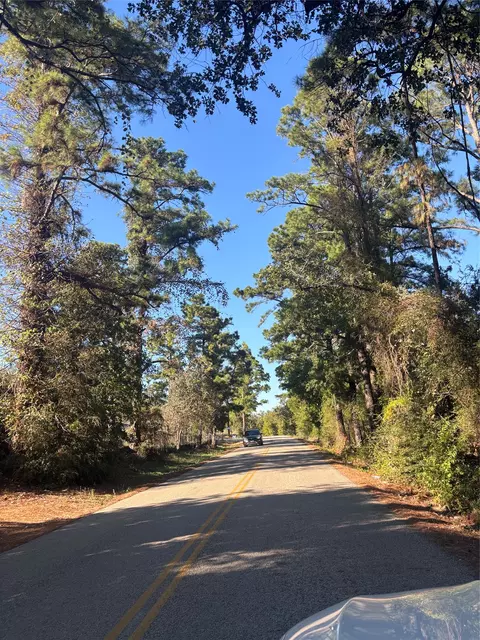 tbd Pine Cone Dr, Bastrop, TX 78602 photo 8