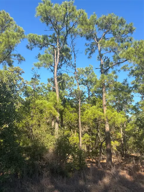 tbd Pine Cone Dr, Bastrop, TX 78602 photo 4