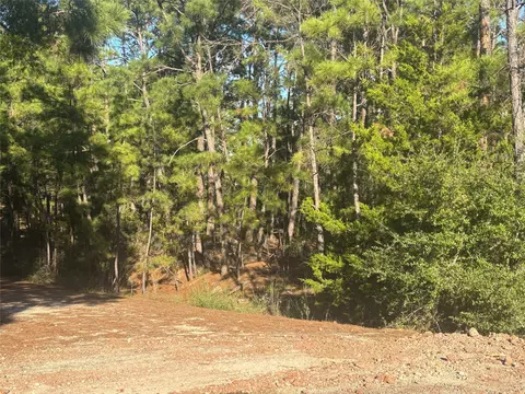 tbd Pine Cone Dr, Bastrop, TX 78602 photo 7