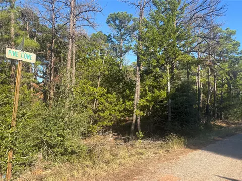 tbd Pine Cone Dr, Bastrop, TX 78602 photo 6