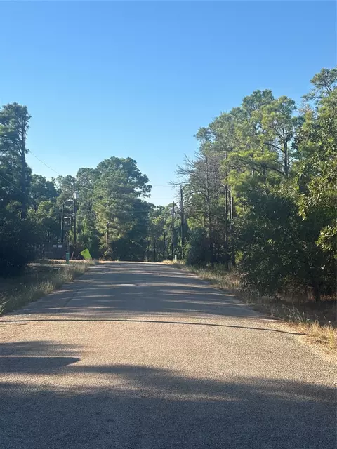 tbd Pine Cone Dr, Bastrop, TX 78602 photo 2