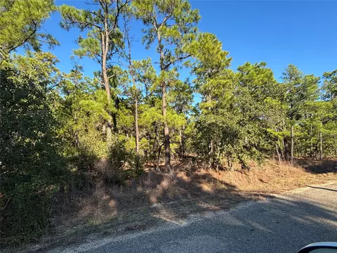 tbd Pine Cone Dr, Bastrop, TX 78602 photo 3