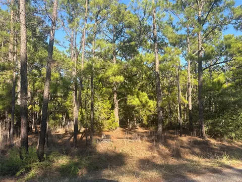 tbd Pine Cone Dr, Bastrop, TX 78602 photo 5