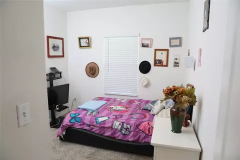 Bedroom - 17804 Rye Spring Dr, Elgin, TX 78621 photo 3 of 11