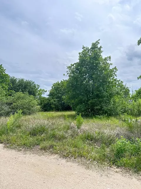 136 Wild Bird Loop # A, Smithville, TX 78957