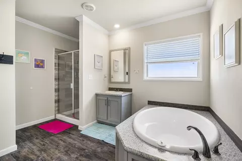 Bath - 247 Daniel Dr, Bertram, TX 78605 photo 6 of 6
