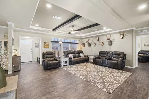Living - 247 Daniel Dr, Bertram, TX 78605 photo 3 of 3