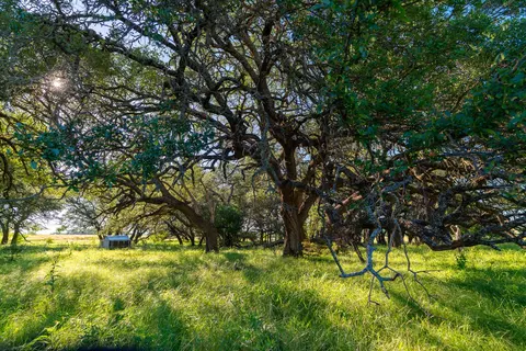 28 Feild Ranch Rd, Burnet, TX 78611 photo 30