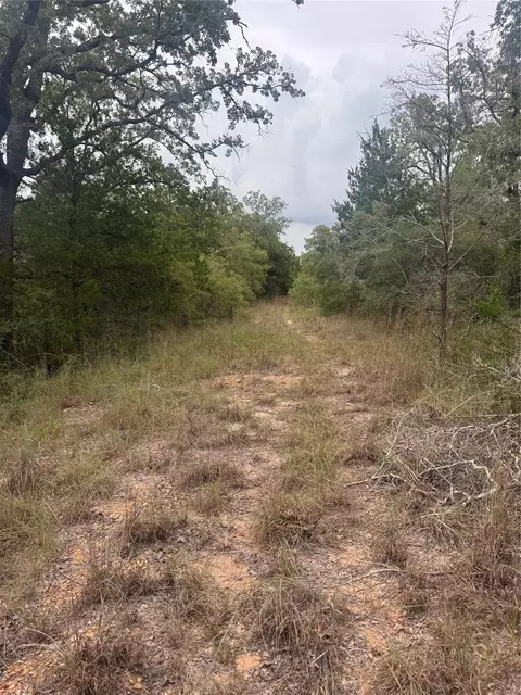 lot6 Spruce St, Paige, TX 78659
