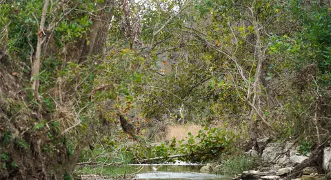 000 River Run, Leander, TX 78641 photo 32