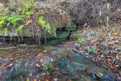 000 River Run, Leander, TX 78641 photo 27