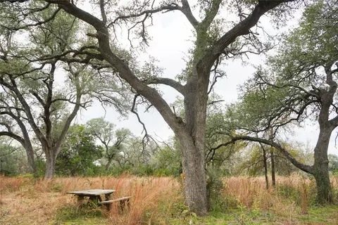 000 River Run, Leander, TX 78641 photo 7