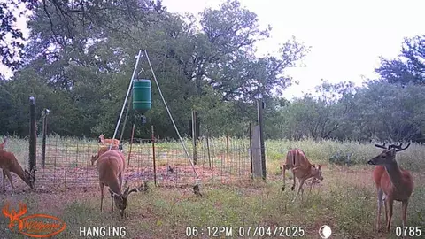tbd Fm 3023, Goldthwaite, TX 76844