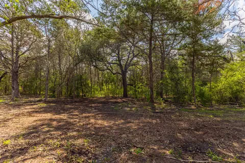 1910 Baca Loop, Flatonia, TX 78941 photo 8