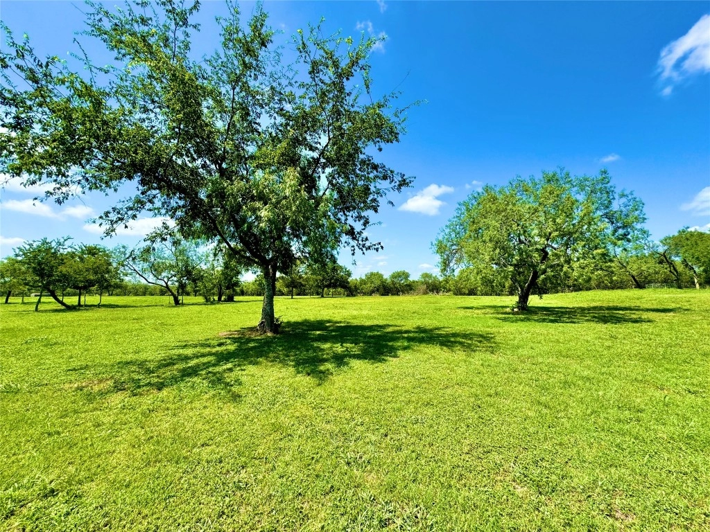 145 Valerie Ln  