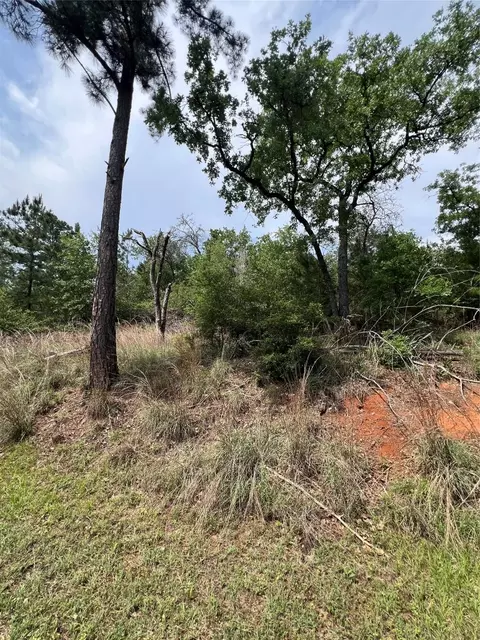 lot1671 Tbd Moku Ct, Bastrop, TX 78602