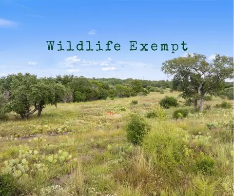 tbd W Rr 962, Round Mountain, TX 78663