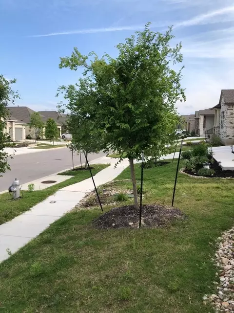 Other - 1621 Brueggerhoff Rd, Leander, TX 78641 photo 11 of 11