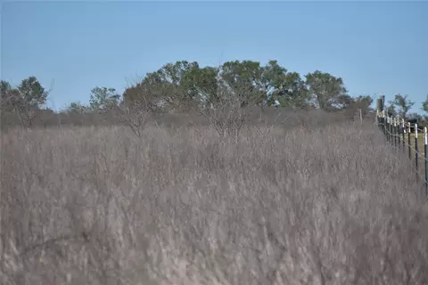 Track 24 Jackson Road, Refugio, TX 78377 photo 8
