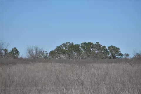 Track 24 Jackson Road, Refugio, TX 78377 photo 7