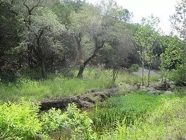 350 Bluff Rd, Spicewood, TX 78669