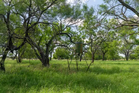8044 580 E, Kempner, TX 76539 photo 9