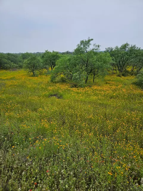 6990 County Road 246, Richland Springs, TX 76871